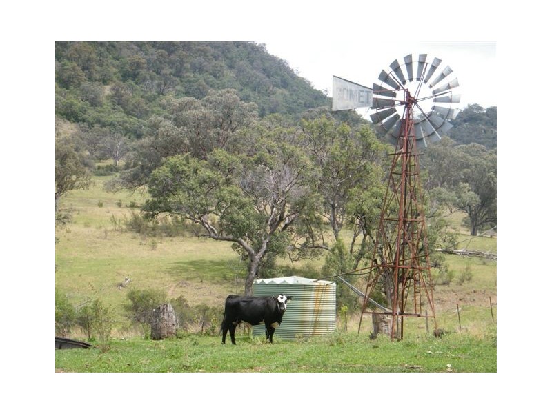 419 New England Highway, Tamworth NSW 2340