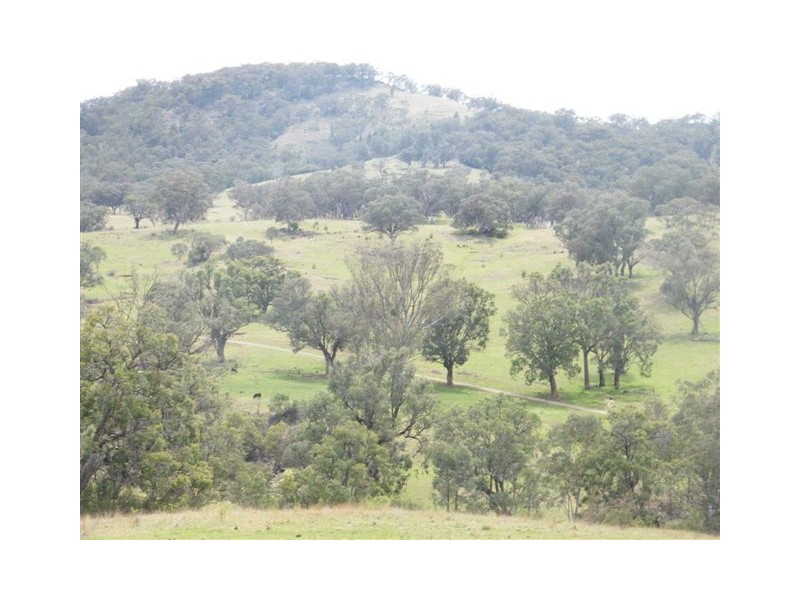 419 New England Highway, Tamworth NSW 2340