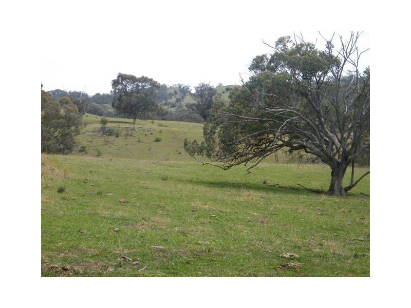 419 New England Highway, Tamworth NSW 2340