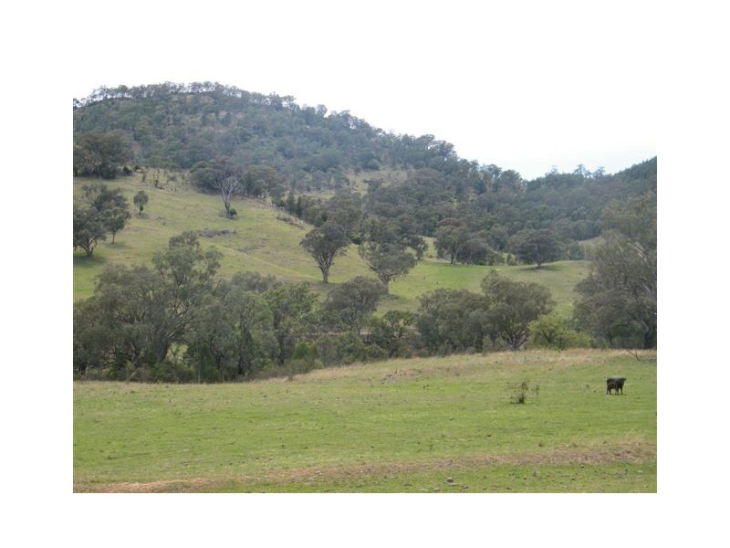 419 New England Highway, Tamworth NSW 2340