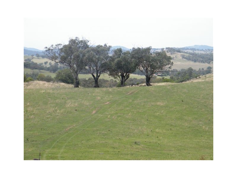 419 New England Highway, Tamworth NSW 2340