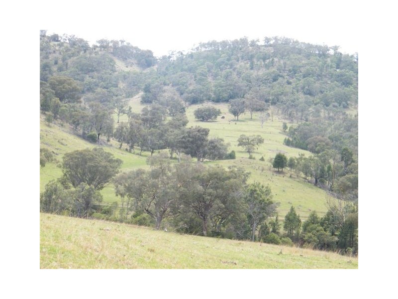 419 New England Highway, Tamworth NSW 2340