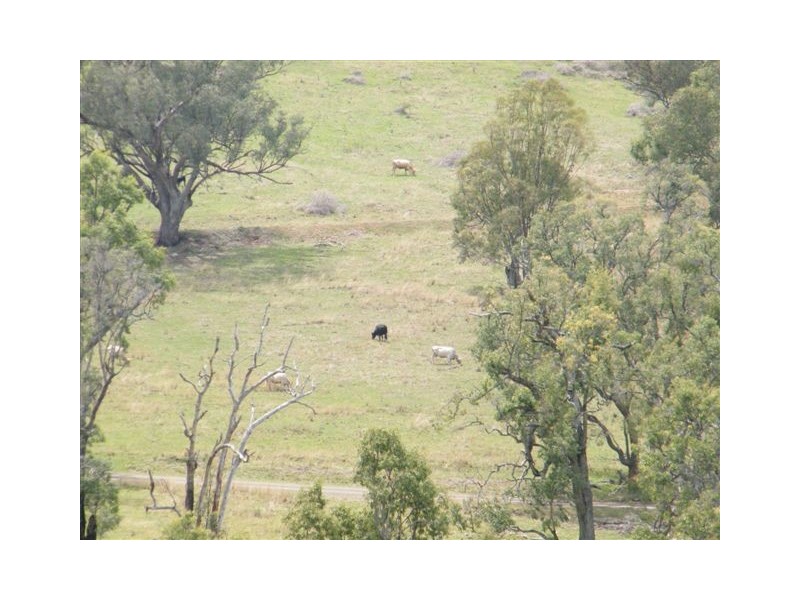 419 New England Highway, Tamworth NSW 2340
