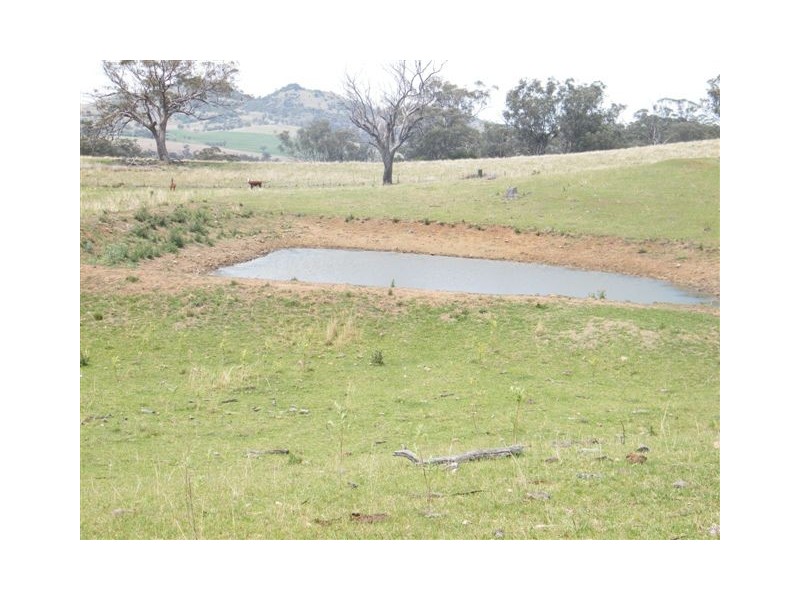 419 New England Highway, Tamworth NSW 2340