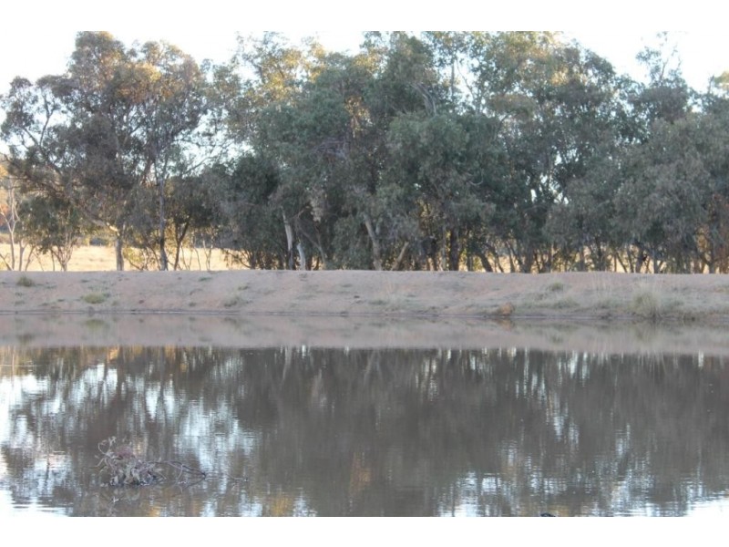 1640 Copeton Dam Road, Inverell NSW 2360