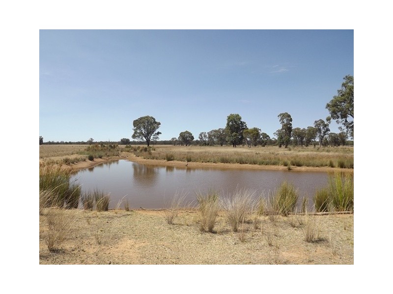 “Iandra” Brookes Road, Binnaway NSW 2395