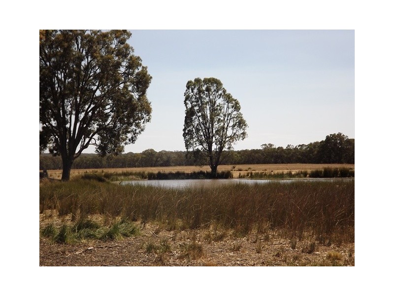 “Iandra” Brookes Road, Binnaway NSW 2395