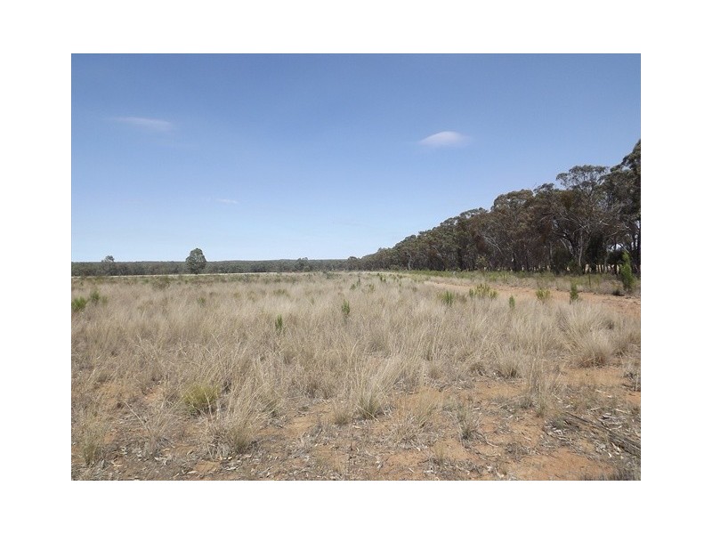 “Iandra” Brookes Road, Binnaway NSW 2395