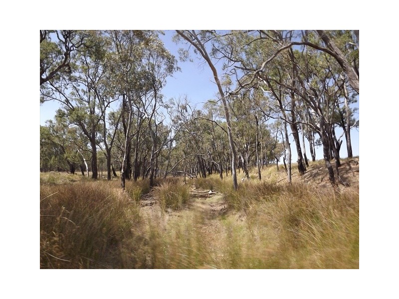 “Iandra” Brookes Road, Binnaway NSW 2395