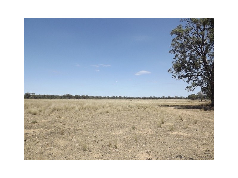 “Iandra” Brookes Road, Binnaway NSW 2395