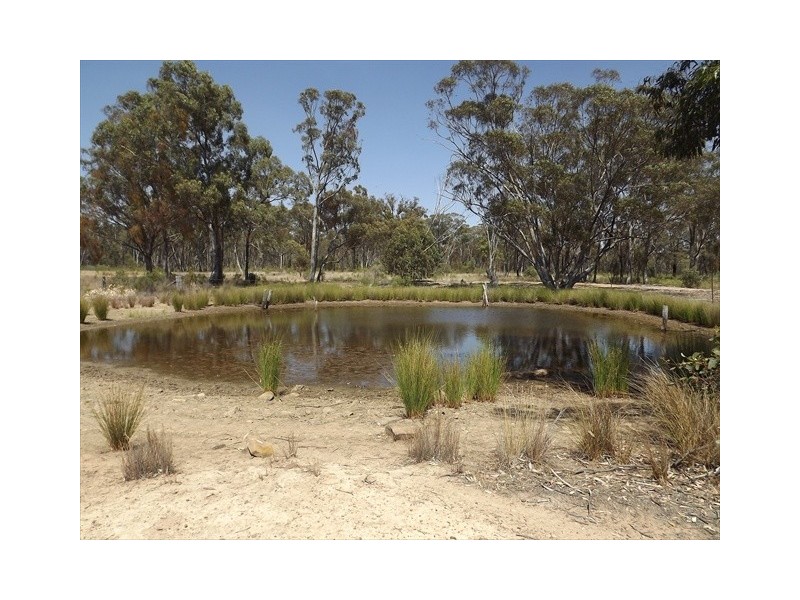 “Iandra” Brookes Road, Binnaway NSW 2395