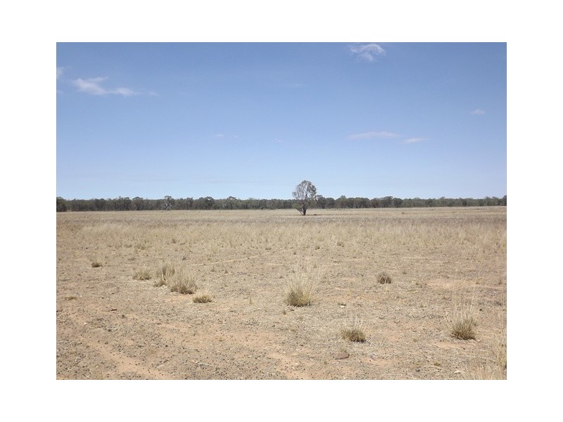 “Iandra” Brookes Road, Binnaway NSW 2395