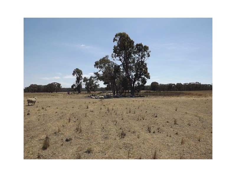 “Iandra” Brookes Road, Binnaway NSW 2395