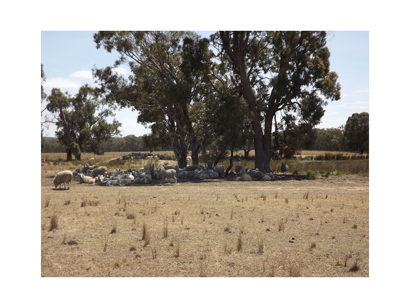 “Iandra” Brookes Road, Binnaway NSW 2395