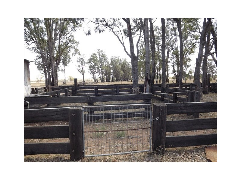 “Iandra” Brookes Road, Binnaway NSW 2395