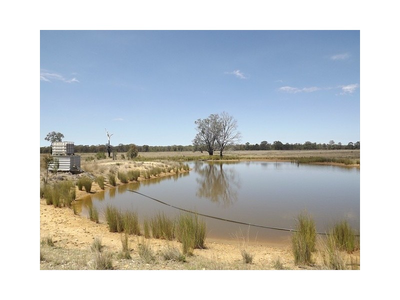 “Iandra” Brookes Road, Binnaway NSW 2395