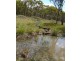 3545 Bundarra Road, Inverell NSW 2360