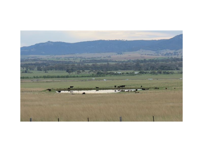 Lot 100 and 101 New England Highway, Scone NSW 2337