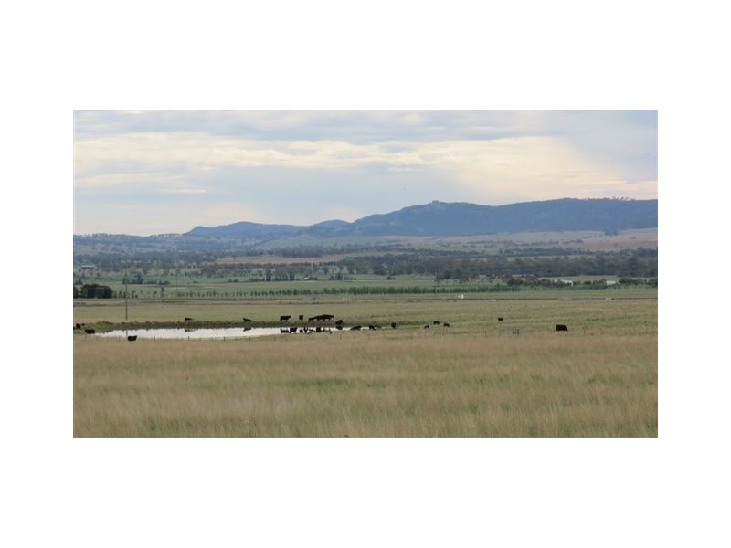 Lot 100 and 101 New England Highway, Scone NSW 2337