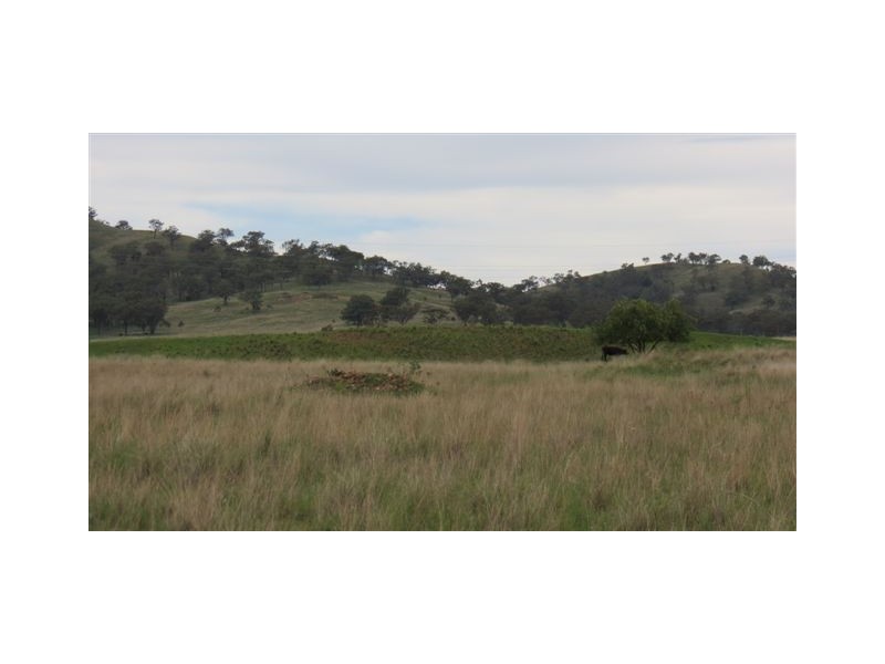 Lot 100 and 101 New England Highway, Scone NSW 2337