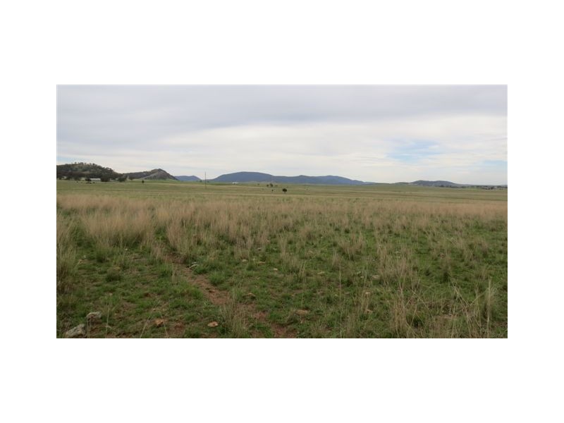 Lot 100 and 101 New England Highway, Scone NSW 2337