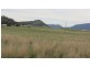 Lot 100 and 101 New England Highway, Scone NSW 2337