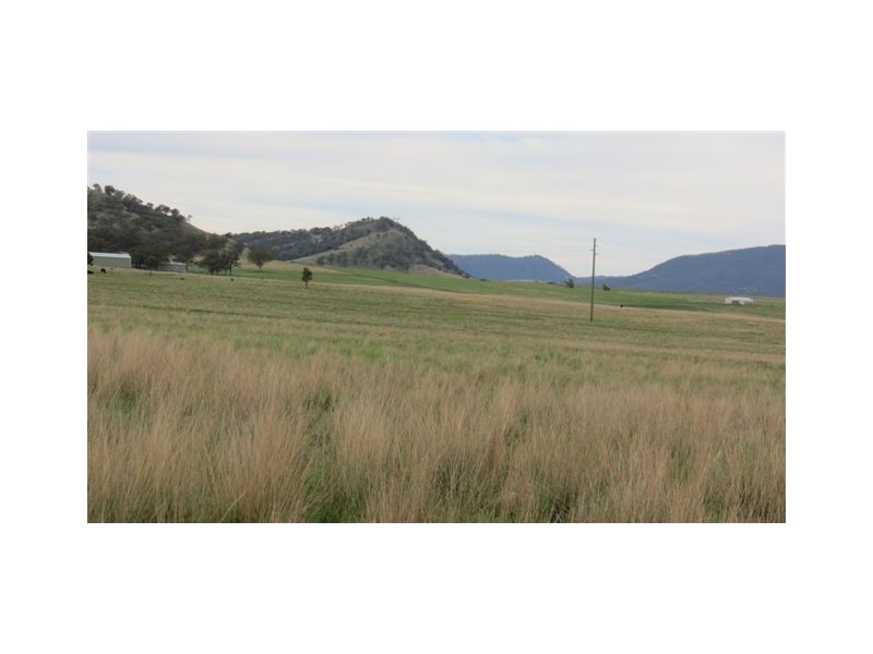 Lot 100 and 101 New England Highway, Scone NSW 2337