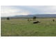 Lot 100 and 101 New England Highway, Scone NSW 2337