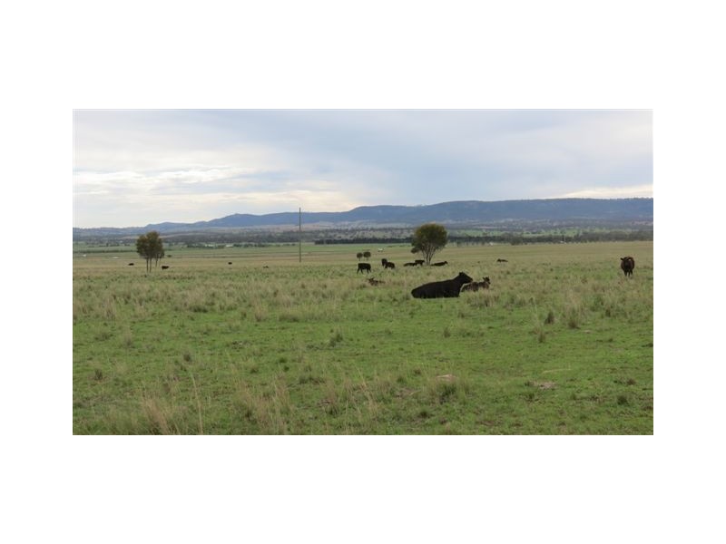 Lot 100 and 101 New England Highway, Scone NSW 2337