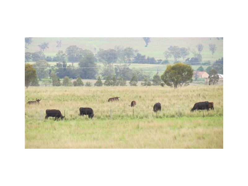 Lot 100 and 101 New England Highway, Scone NSW 2337