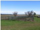 1286 Grandchester Road, Mendooran NSW 2842