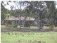 1286 Grandchester Road, Mendooran NSW 2842