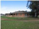 1286 Grandchester Road, Mendooran NSW 2842