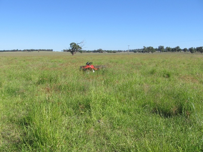 “Bundulla” Grandchester Road, Mendooran NSW 2842