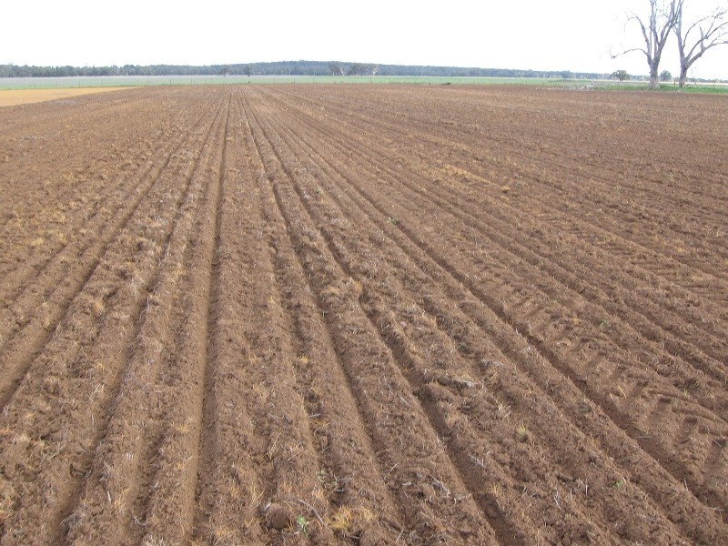 “Bundulla” Grandchester Road, Mendooran NSW 2842