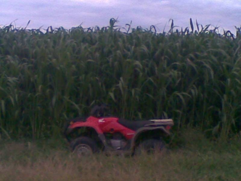 “Bundulla” Grandchester Road, Mendooran NSW 2842