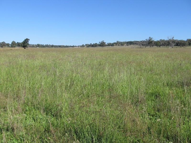 “Westhoek” Grandchester Road, Mendooran NSW 2842