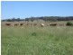 “Westhoek” Grandchester Road, Mendooran NSW 2842