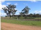 “Westhoek” Grandchester Road, Mendooran NSW 2842