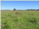 “Westhoek” Grandchester Road, Mendooran NSW 2842