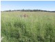“Westhoek” Grandchester Road, Mendooran NSW 2842