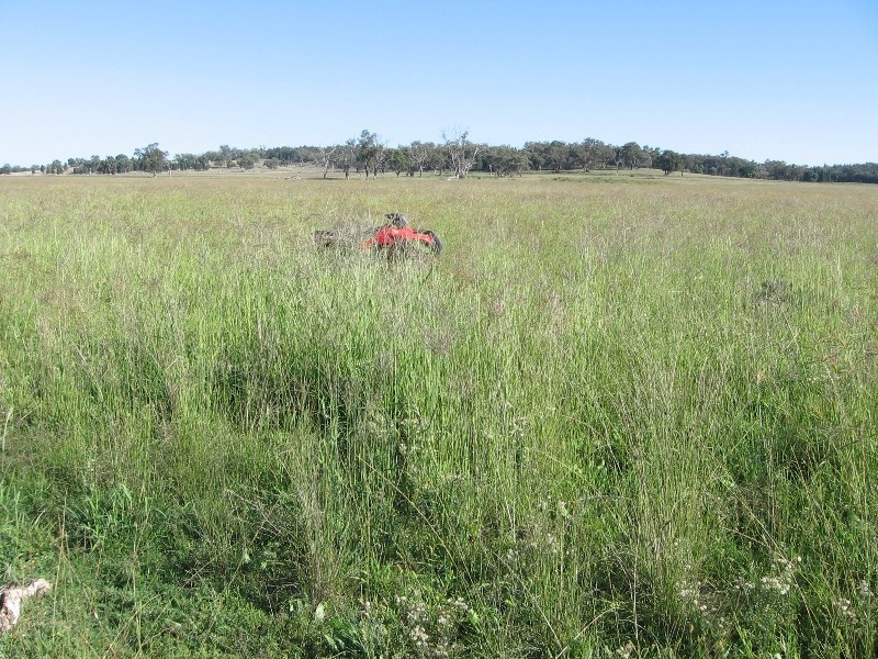 “Westhoek” Grandchester Road, Mendooran NSW 2842
