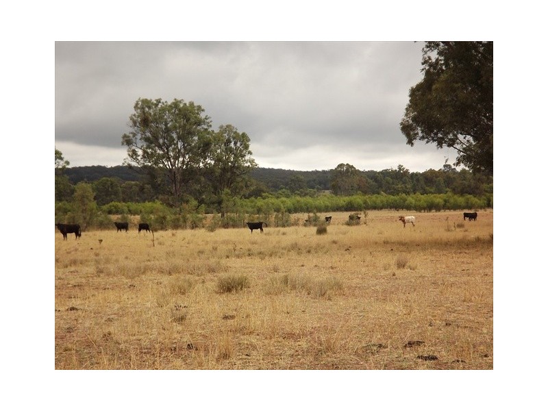 “Cooladie” Oxley Highway, Coonabarabran NSW 2357