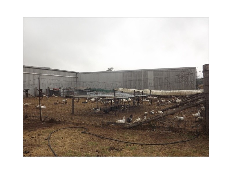 “Cooladie” Oxley Highway, Coonabarabran NSW 2357