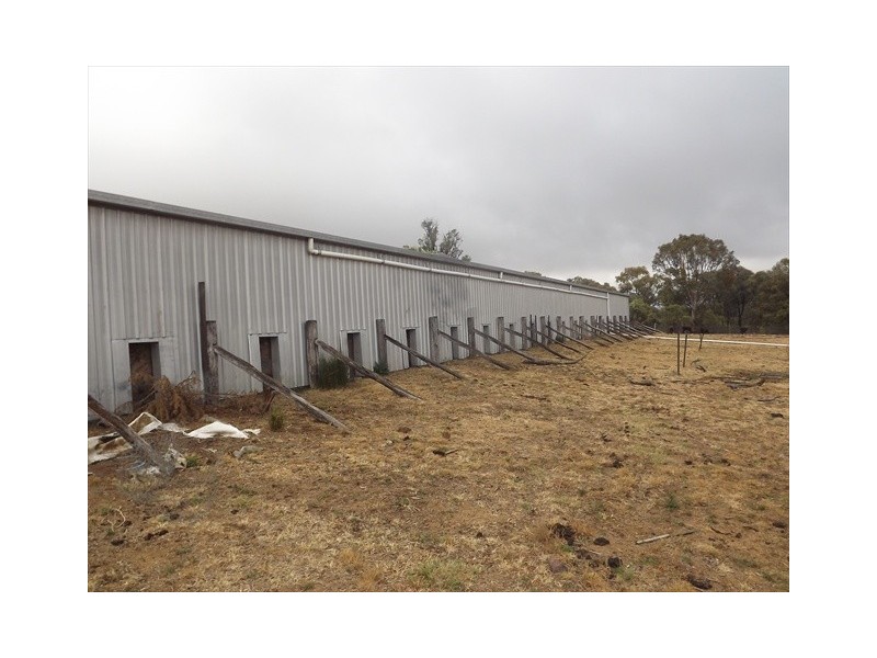 “Cooladie” Oxley Highway, Coonabarabran NSW 2357