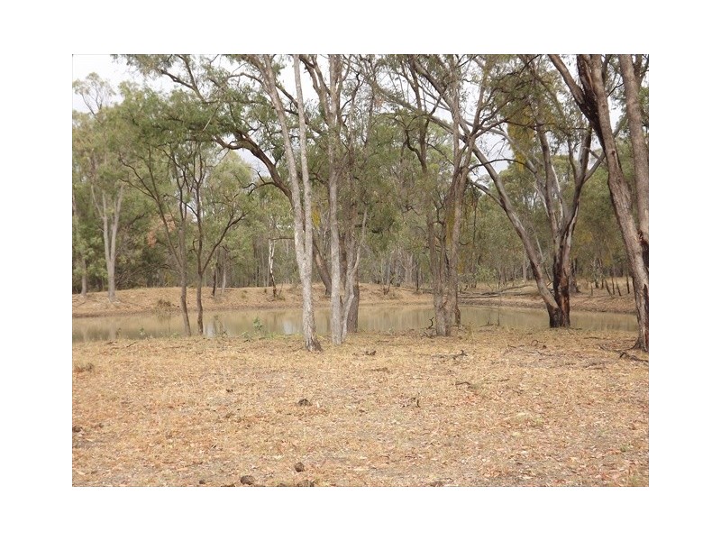 “Cooladie” Oxley Highway, Coonabarabran NSW 2357