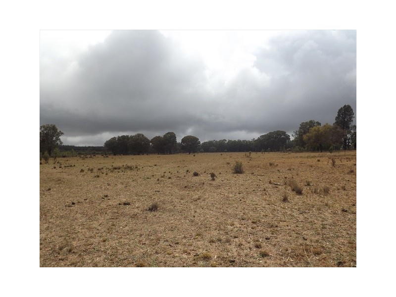 “Cooladie” Oxley Highway, Coonabarabran NSW 2357