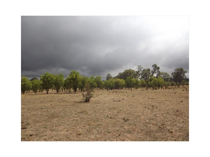 “Cooladie” Oxley Highway, Coonabarabran NSW 2357