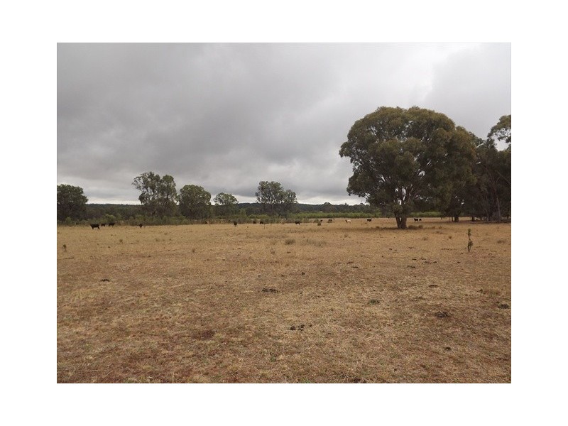 “Cooladie” Oxley Highway, Coonabarabran NSW 2357