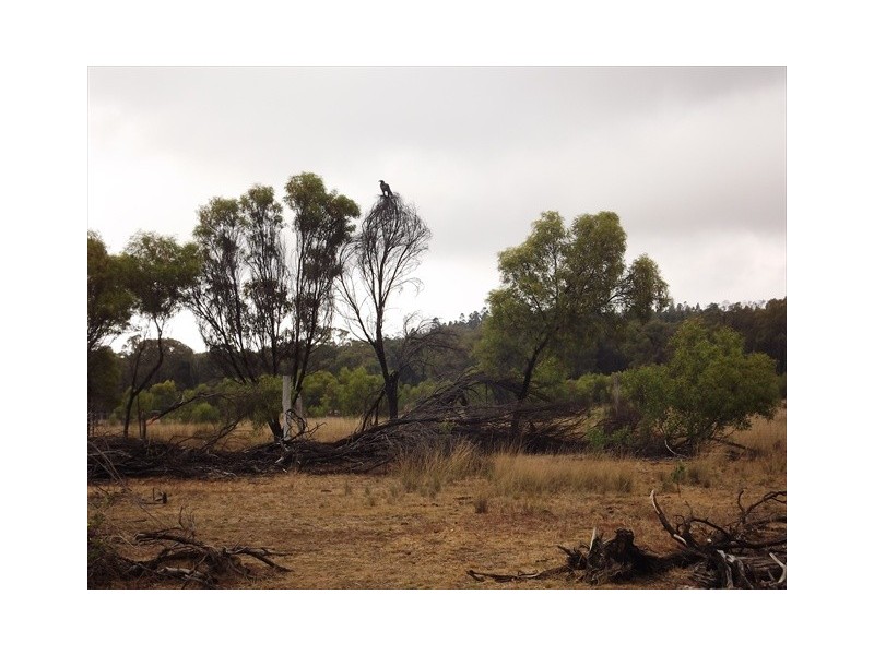 “Cooladie” Oxley Highway, Coonabarabran NSW 2357